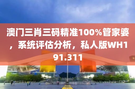 澳门三肖三码精准100%管家婆，系统评估分析，私人版WH191.311
