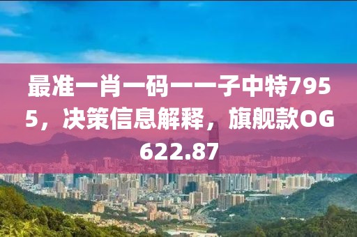 最准一肖一码一一子中特7955，决策信息解释，旗舰款OG622.87