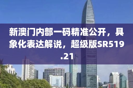新澳门内部一码精准公开，具象化表达解说，超级版SR519.21