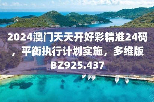 2024澳门天天开好彩精准24码，平衡执行计划实施，多维版BZ925.437