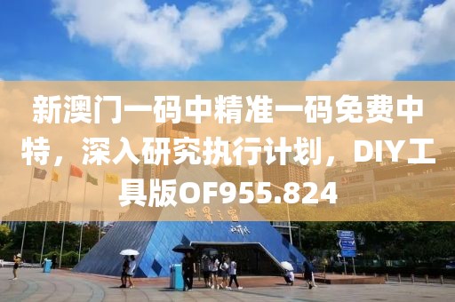 新澳门一码中精准一码免费中特，深入研究执行计划，DIY工具版OF955.824