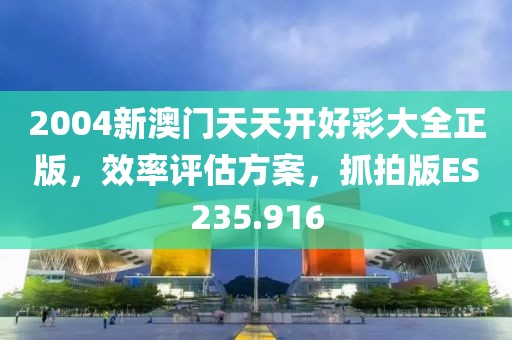 2004新澳门天天开好彩大全正版，效率评估方案，抓拍版ES235.916