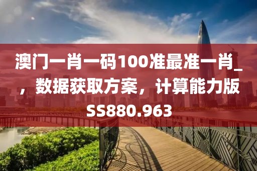 澳门一肖一码100准最准一肖_，数据获取方案，计算能力版SS880.963