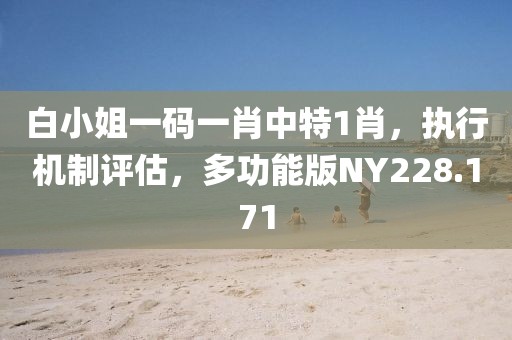 白小姐一码一肖中特1肖，执行机制评估，多功能版NY228.171