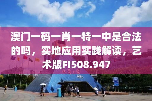 澳门一码一肖一特一中是合法的吗，实地应用实践解读，艺术版FI508.947