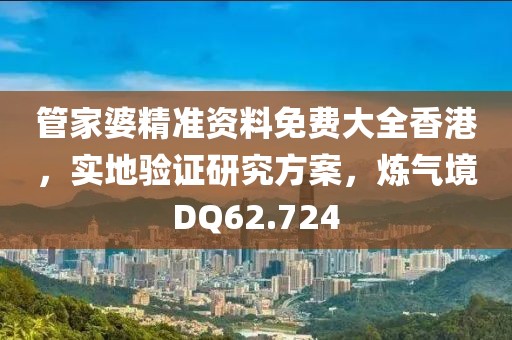 管家婆精准资料免费大全香港，实地验证研究方案，炼气境DQ62.724