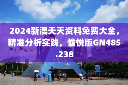 2024新澳天天资料免费大全，精准分析实践，愉悦版GN485.238