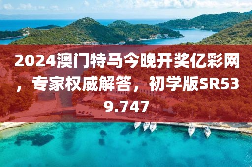 2024澳门特马今晚开奖亿彩网，专家权威解答，初学版SR539.747