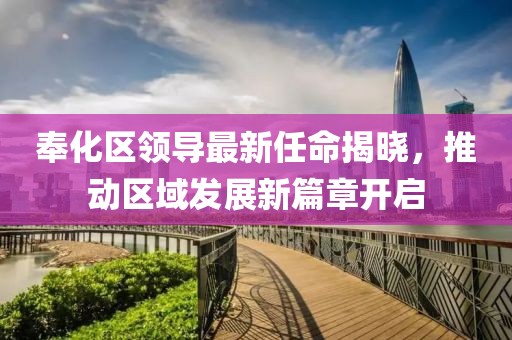 奉化区领导最新任命揭晓，推动区域发展新篇章开启
