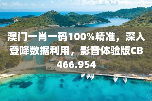 澳门一肖一码100%精准，深入登降数据利用，影音体验版CB466.954
