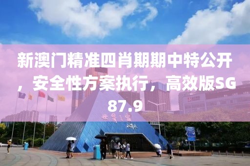新澳门精准四肖期期中特公开，安全性方案执行，高效版SG87.9