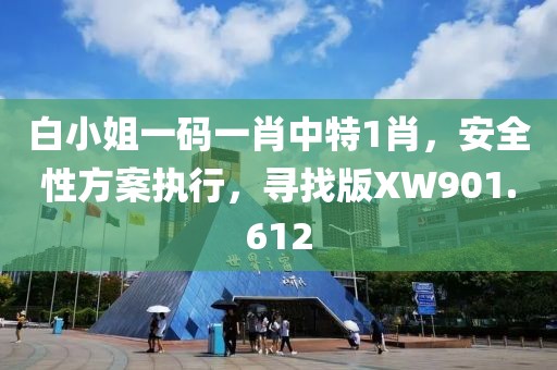 白小姐一码一肖中特1肖，安全性方案执行，寻找版XW901.612