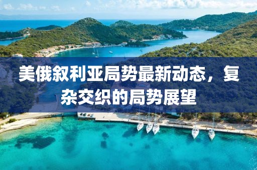 美俄叙利亚局势最新动态，复杂交织的局势展望