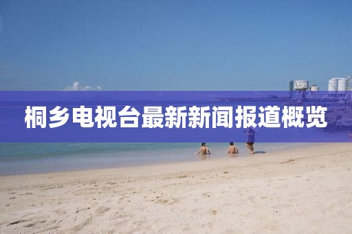 桐乡电视台最新新闻报道概览