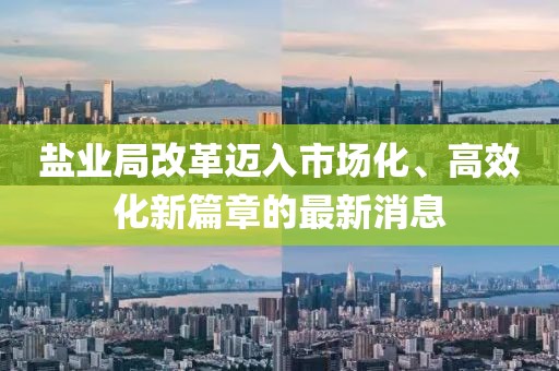盐业局改革迈入市场化、高效化新篇章的最新消息