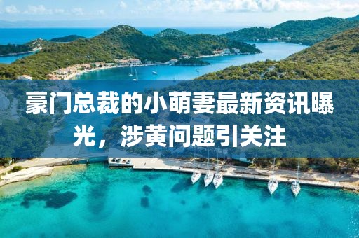 豪门总裁的小萌妻最新资讯曝光，涉黄问题引关注