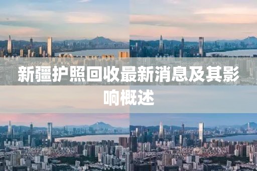 新疆护照回收最新消息及其影响概述