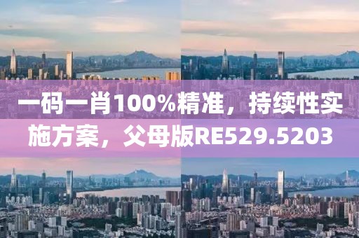 一码一肖100%精准，持续性实施方案，父母版RE529.5203