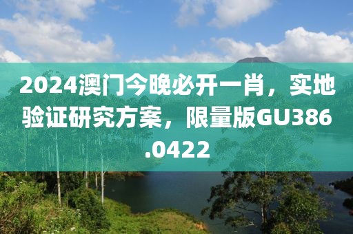 2024澳门今晚必开一肖，实地验证研究方案，限量版GU386.0422