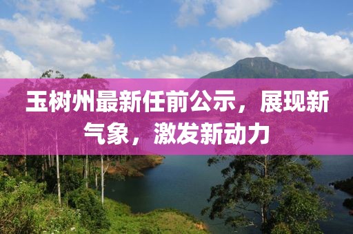 玉树州最新任前公示，展现新气象，激发新动力