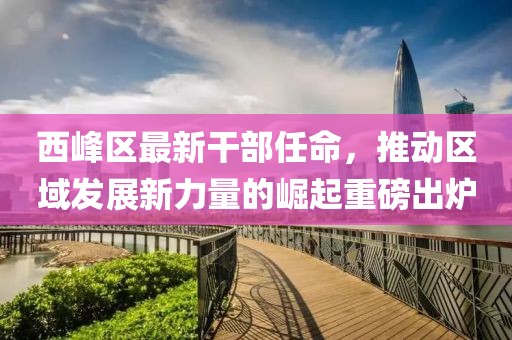 西峰区最新干部任命，推动区域发展新力量的崛起重磅出炉