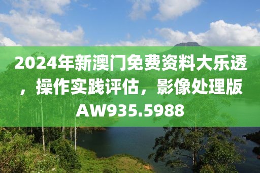 2024年新澳门免费资料大乐透，操作实践评估，影像处理版AW935.5988