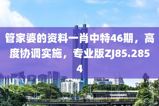 管家婆的资料一肖中特46期，高度协调实施，专业版ZJ85.2854