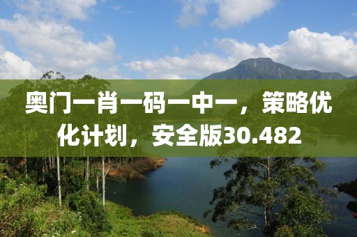 奥门一肖一码一中一，策略优化计划，安全版30.482