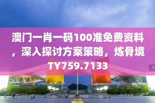 澳门一肖一码100准免费资料，深入探讨方案策略，炼骨境TY759.7133