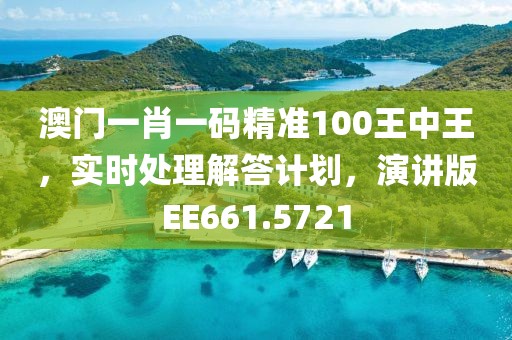澳门一肖一码精准100王中王，实时处理解答计划，演讲版EE661.5721