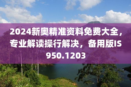 2024新奥精准资料免费大全，专业解读操行解决，备用版IS950.1203