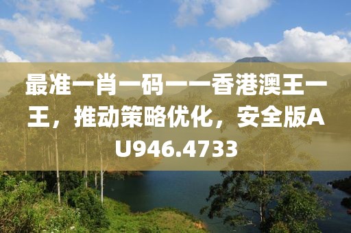 最准一肖一码一一香港澳王一王，推动策略优化，安全版AU946.4733