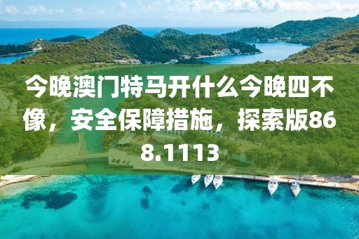 今晚澳门特马开什么今晚四不像，安全保障措施，探索版868.1113