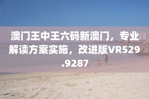 澳门王中王六码新澳门，专业解读方案实施，改进版VR529.9287