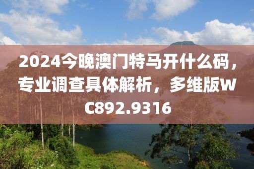 2024今晚澳门特马开什么码，专业调查具体解析，多维版WC892.9316