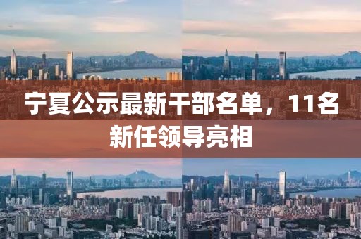 宁夏公示最新干部名单，11名新任领导亮相