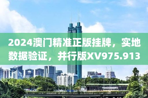 2024澳门精准正版挂牌，实地数据验证，并行版XV975.913