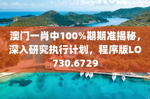 澳门一肖中100%期期准揭秘，深入研究执行计划，程序版LO730.6729