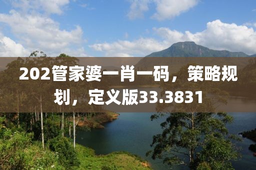 202管家婆一肖一码，策略规划，定义版33.3831