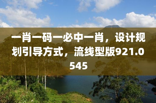 一肖一码一必中一肖，设计规划引导方式，流线型版921.0545
