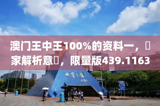 澳门王中王100%的资料一，專家解析意見，限量版439.1163