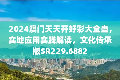 2024澳门天天开好彩大全蛊，实地应用实践解读，文化传承版SR229.6882