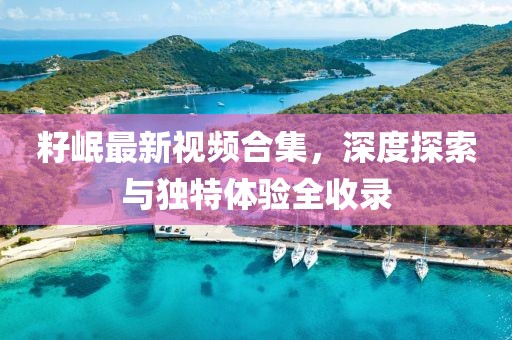 籽岷最新视频合集，深度探索与独特体验全收录
