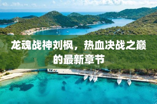 龙魂战神刘枫，热血决战之巅的最新章节