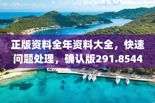 正版资料全年资料大全，快速问题处理，确认版291.8544