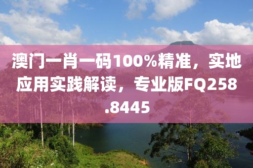 澳门一肖一码100%精准，实地应用实践解读，专业版FQ258.8445