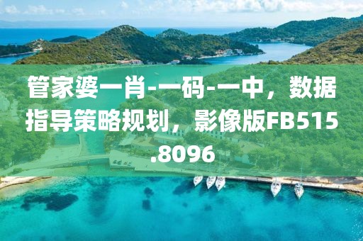 管家婆一肖-一码-一中，数据指导策略规划，影像版FB515.8096