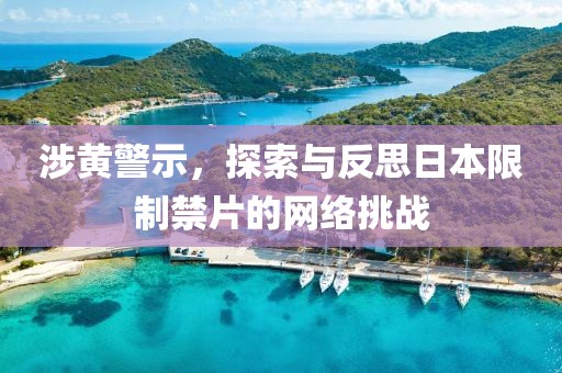 涉黄警示，探索与反思日本限制禁片的网络挑战