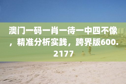 澳门一码一肖一待一中四不像，精准分析实践，跨界版600.2177