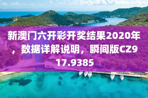 新澳门六开彩开奖结果2020年，数据详解说明，瞬间版CZ917.9385